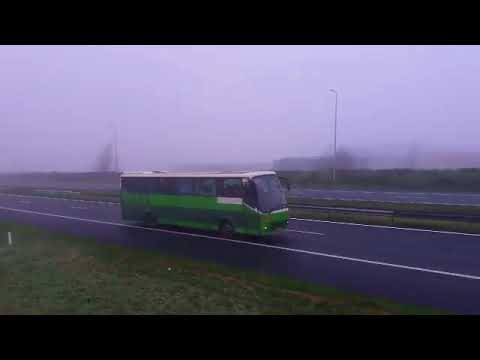 Bus met gekkies onderweg naar Dokkum