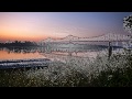 Flood Plain by David Lewis may 2020