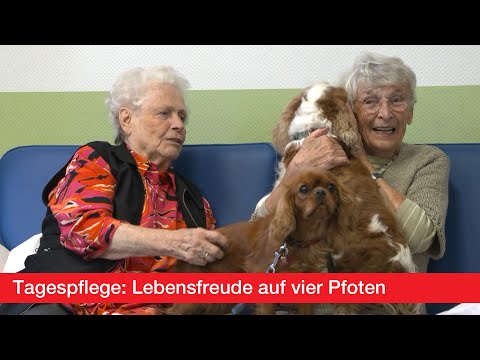 Tagespflege im Sebastianusstift - tierisch gut