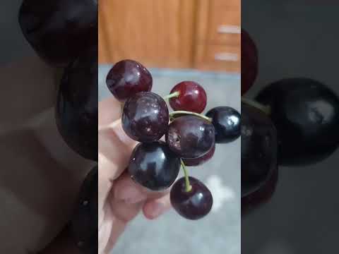 The Unexpected Health Benefits of Fruits You've Never Heard Of! #ytshorts