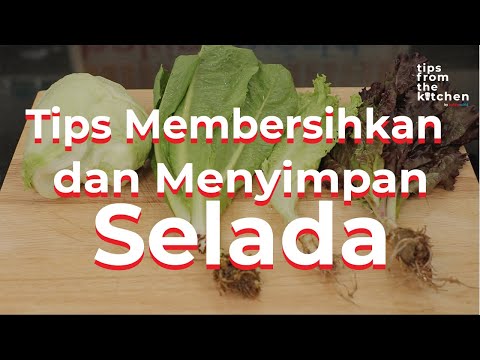 , title : 'TIPS MEMBERSIHKAN DAN MENYIMPAN SELADA | Sayuran | Tips From The Kitchen'