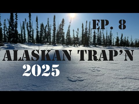 Alaskan Trap'n (Ep 8)
