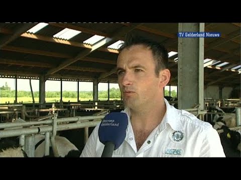 GLD Nieuws 4 juli 2010 - Nieuws