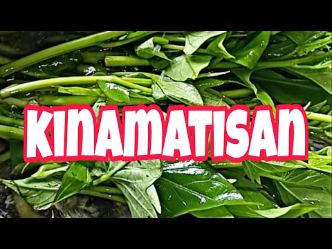 Kinamatisang flying fish recipe