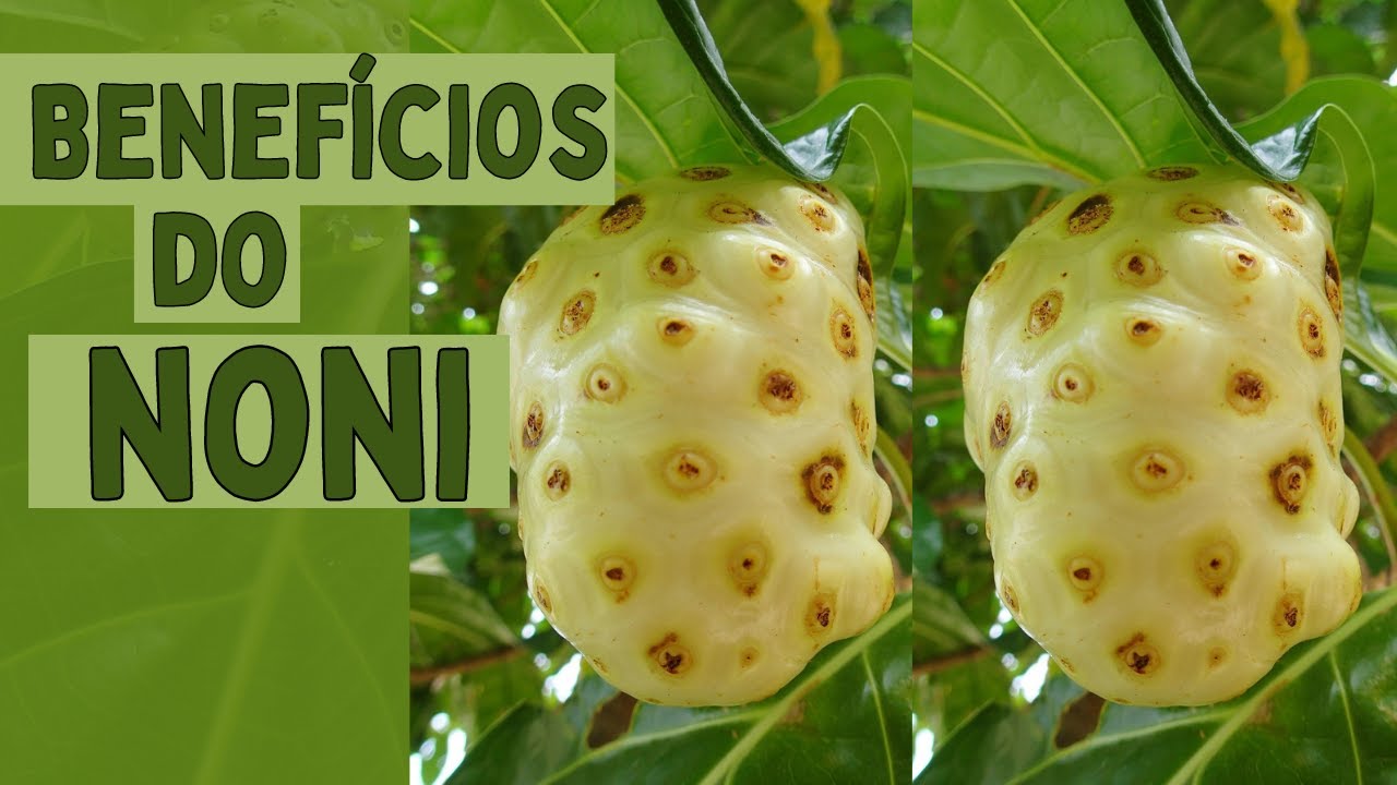 você ja conhecia o Noni e seus Benefícios? @CozinhaSemPressao  #fruta #frutascriativas