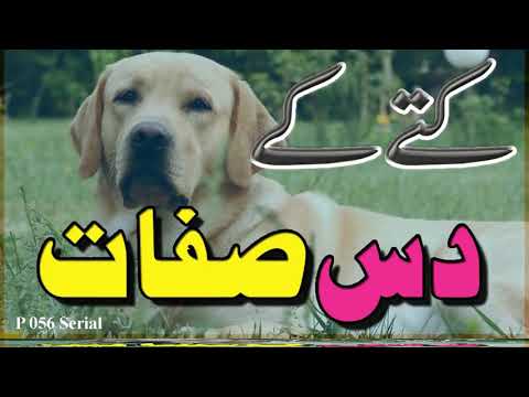 Kuttay Ki 10 Sifaat P 056 Serial.Ensan 1 A.Tabligh 1 A.Wafa 1 A.Mohabat 1 A.Nasihat 1 A. Sign 1 A.