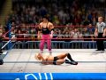 WWE 13 Ric Flair Vs Bret Hart WWF Championship