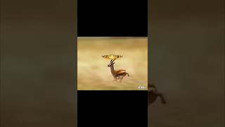 Download lagu _moneylove(720P_HD) mp3