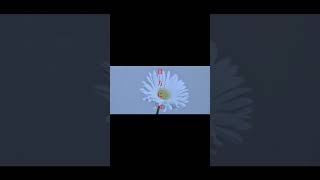 【#Blurry Eyes】【#ラルク】【#shorts】【#永久機関】Blurry Eyes/L'Arc〜en〜Ciel guitarcovered by フクレモ.