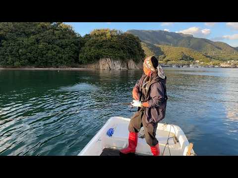 サゴシが跳ねまくってるところに投げてみると