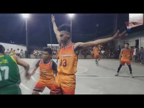 VLOG #4 ORANGE LIONS VS GREEN PANTHERS