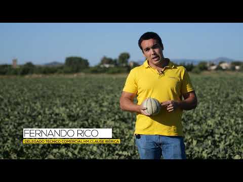 Video: CHAMAN F1