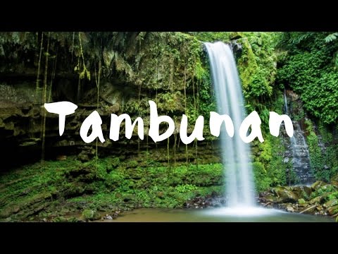 TAMBUNAN RAFFLESIA CENTRE, BUTTERFLY PARK & MAHUA WATERFALL
