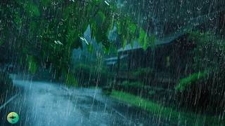 DURMA em 5 Minutos - Barulho de Chuva Forte, Vento e Trovão para Dormir, Chuva na Folhagem à Noite