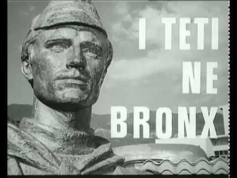 I teti ne bronx