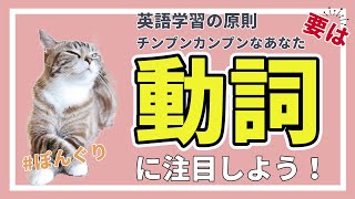 【ぽんぐり2】英語の原則〜要は動詞です〜