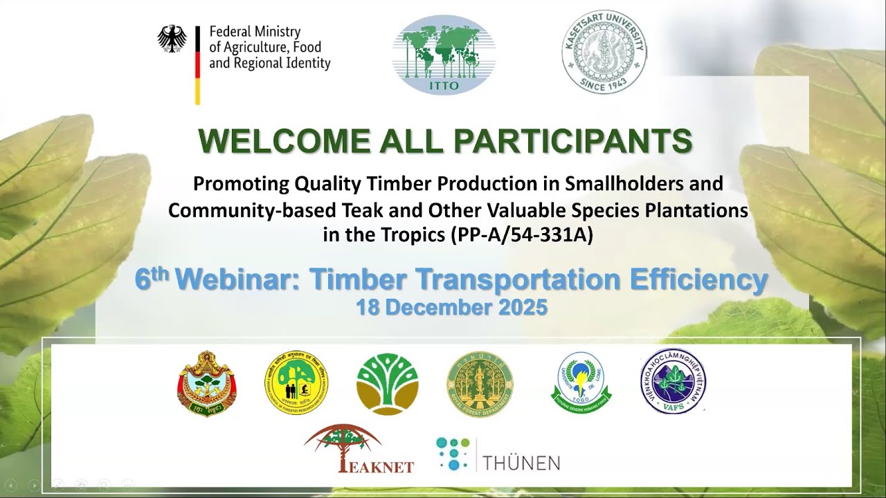 Using innovation to improve timber transportation efficiency and lower costs - ITTO/BMLEH Webinar 06