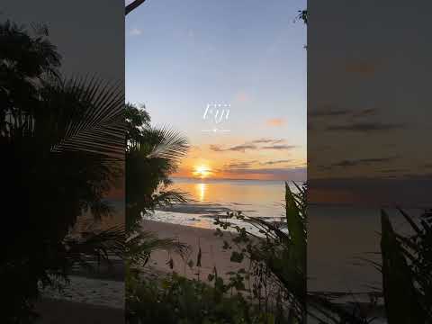 Fiji Mini Vlog #shorts