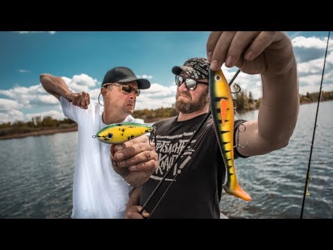 Wobbler VS Gummifisch - Was fängt wirklich besser?