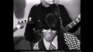 Question Mark and The Mysterians - 96 Tears subtitulada en español