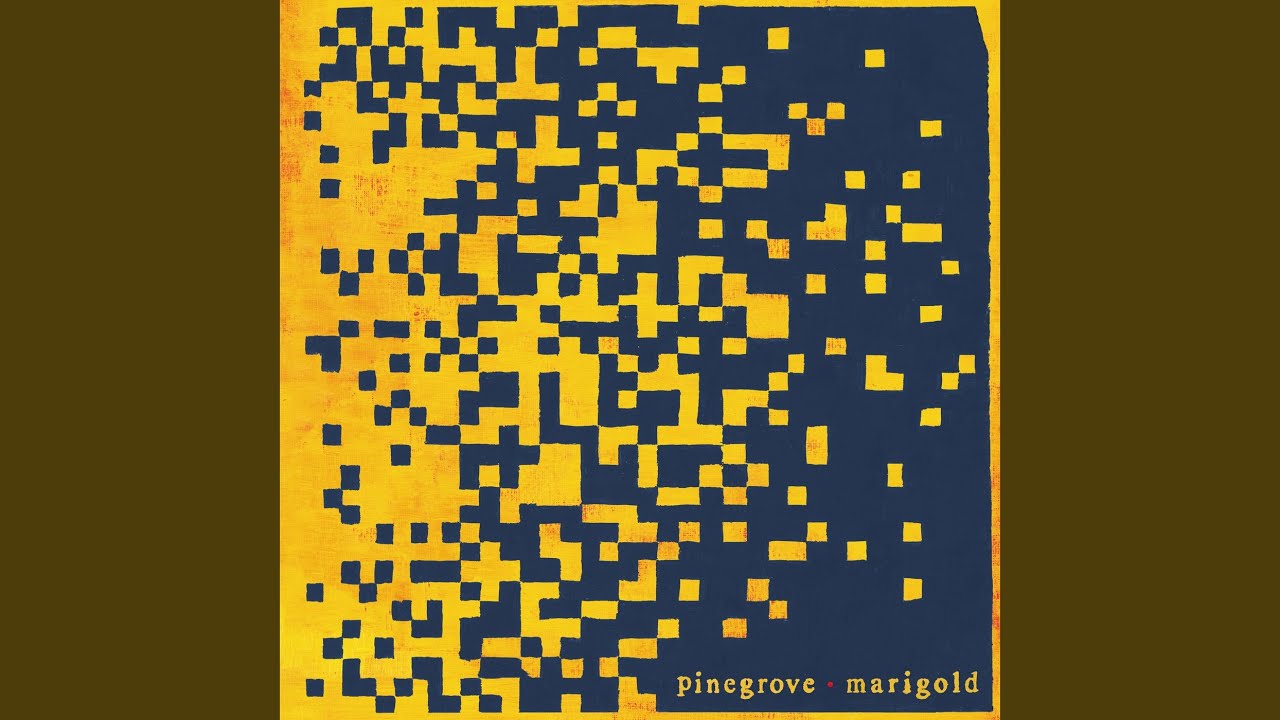 Pinegrove - Neighbor