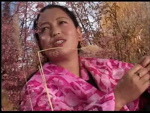 MIGCHOOU LADAKHI FILM