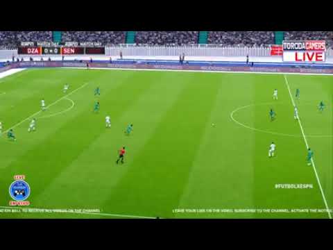 Senegal vs Algeria  5-4 penalty shout-out | African Nations championship final