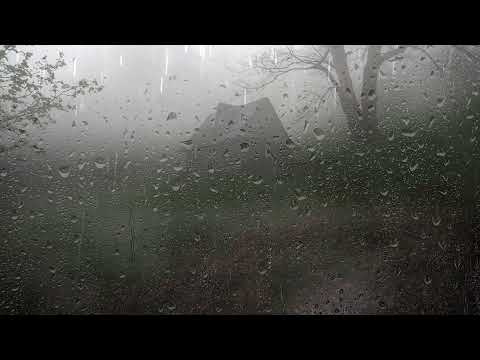 Duerma Instantáneamente en 3 Minutos con Sonido de Lluvia en Techo en la Granja en Bosque Brumoso