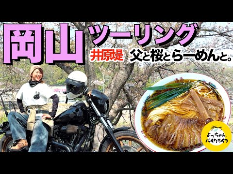 【岡山🌸井原】昼12:13に売切れる🍜中華そば岡山の名店と桜