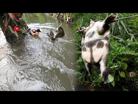 SE03EP201 Part 2 - TINGARO ang ULO ng AHAS PAGONG - MUNTIK NA MAKAPANGAGAT | San Pablo City, Laguna