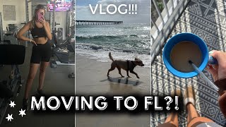 Moving to Florida VLOG! Empty Apartment Tour, Shein Haul, & Dog Beach!