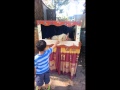 PUPPET SHOW HAND SHAKE Australiana Village Wilberforce NSW Australia 2756