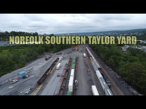 NS TAYLOR YARD (Super Cut)