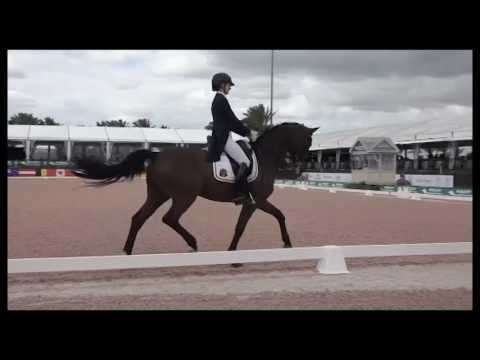 'On the right direction' by Dressage&Music - Antonia Arl & Duke - Young Rider Freestyle