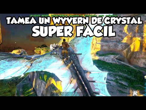 LA FORMA MÀS FÀCIL DE TAMEAR UN WYVERN DE CRYSTAL!