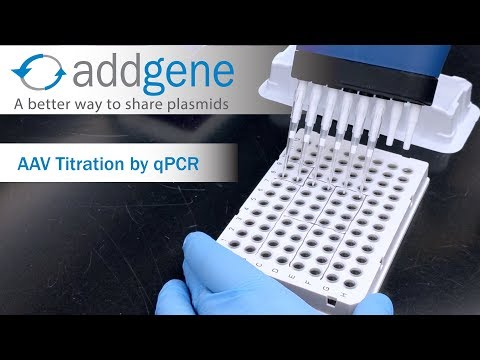 AAV Titration by qPCR