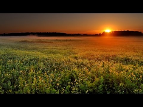 Kheiro & Medi - Tears Of The Sun (Original Mix)