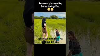 Nonton sampai habis ? #fypシ #viral #ngakak