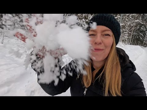 Återvandring, vilka? #sverige #folket #politik 