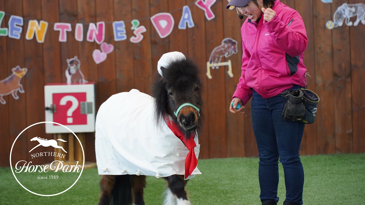 バレンタイン特別ポニーショー2025