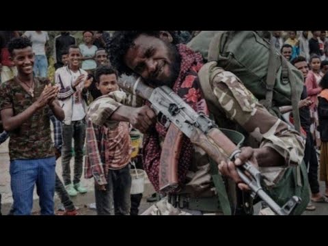 እምበር ተጋዳላይ/John Haftu/New Tigrigna TDF music/2022