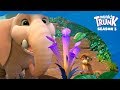 Boing Boing Munki And Trunk Season 6 11