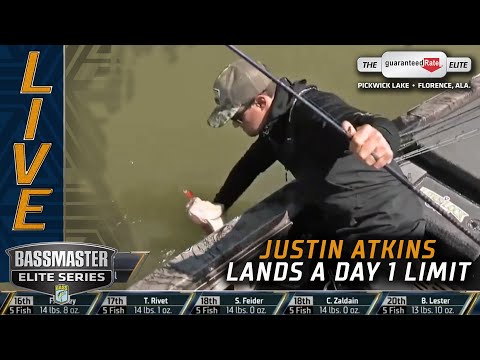 Justin Atkins lands a limit on his home lake (PICKWICK)