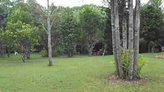 preview picture of video 'Hacienda El Tuito'