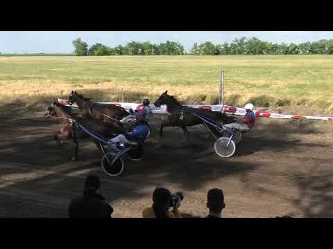 Trka "Memorijal Ferenca Kemiveša" 13.06.2021 Team Work - Miodrag Pantić