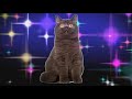 Прикол Коты Поют Шансон Геленджик - Игорь Огурцов
