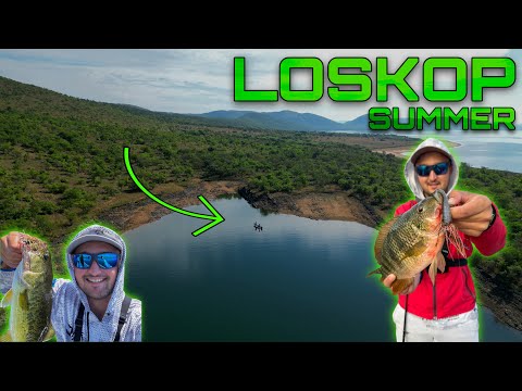SUMMER Bass Fishing at LOSKOP DAM - Part 1