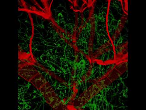 Cloud Rap x Vaportrap x Ambient x Ethereal Type Beat - labyrinth