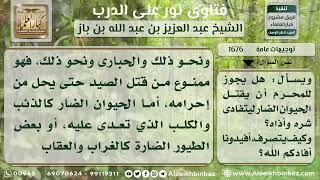 صورة 1676 - حكم قتل المحرم الحيوانات الضارة - نور على الدرب