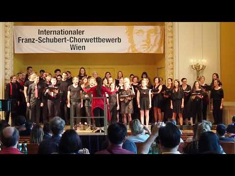 Sing'n'Joy Vienna 2018 - Competition - D'accord Chor (Austria)
